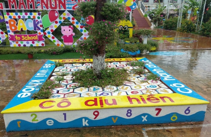 Ảnh 6