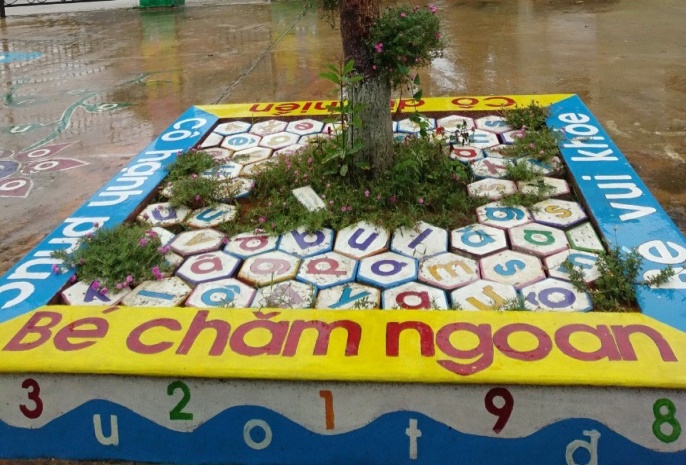 Ảnh 7