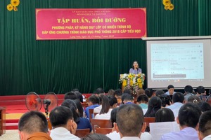 TẬP HUẤN, BỒI DƯỠNG PHƯƠNG PHÁP, KỸ NĂNG DẠY LỚP CÓ NHIỀU TRÌNH ĐỘ CẤP TIỂU HỌC