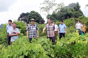 KIỂM TRA TIẾN ĐỘ THỰC HIỆN TIÊU CHÍ TRƯỜNG HỌC THUỘC CHƯƠNG TRÌNH MỤC TIÊU QUỐC GIA XÂY DỰNG NÔNG THÔN MỚI NĂM 2022 CỦA HUYỆN CHI LĂNG