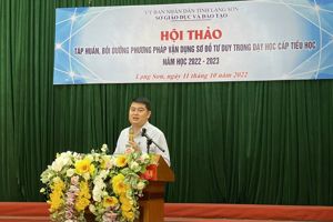 HỘI THẢO TẬP HUẤN, BỒI DƯỠNG PHƯƠNG PHÁP VẬN DỤNG SƠ ĐỒ TƯ DUY TRONG DẠY HỌC CẤP TIỂU HỌC, NĂM HỌC 2022-2023