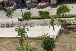 Đánh giá ngoài Trường Tiểu học 1 xã Vũ Lễ, huyện Bắc Sơn