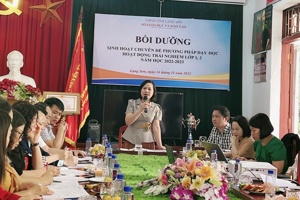 Sinh hoạt chuyên đề phương pháp dạy học Hoạt động trải nghiệm lớp 1, 2 Chương trình giáo dục phổ thông 2018