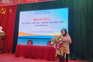 SỞ GIÁO DỤC VÀ ĐÀO TẠO TỔ CHỨC LỚP BỒI DƯỠNG CHƯƠNG TRÌNH XÓA MÙ CHỮ GIAI ĐOẠN 1