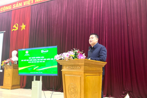 Tập huấn hướng dẫn bài thể dục buổi sáng và bài thể dục giữa giờ dành cho học sinh tiểu học tỉnh Lạng Sơn